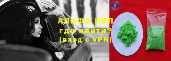 a pvp Новозыбков