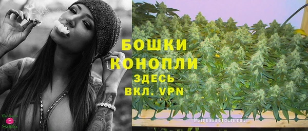 молекула духа Новокубанск
