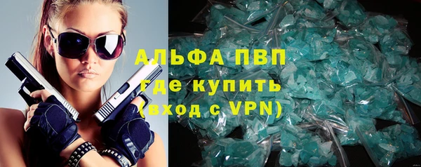 a pvp Новозыбков