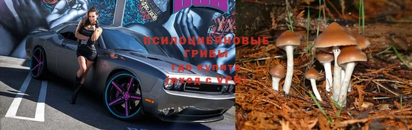 кокаин Новодвинск