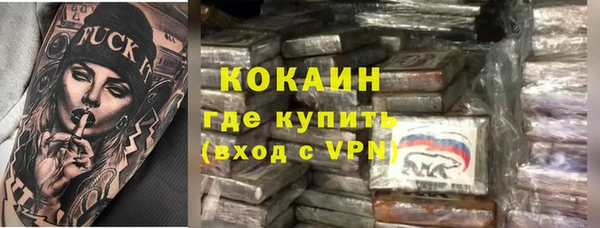 a pvp Новозыбков
