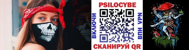 Галлюциногенные грибы Psilocybe  mega   Касли 